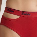 طرح Delvin - تصویر 2